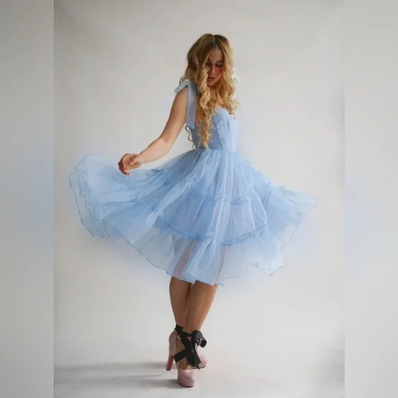 Wild Rose & Sparrow Siena Dress Blue Corset Tulle Mini L NWT Fairy - Picture 7 of 16